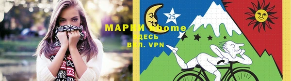 крисы Каменка