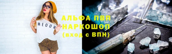 крисы Каменка