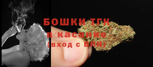 крисы Каменка