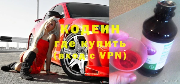 крисы Каменка